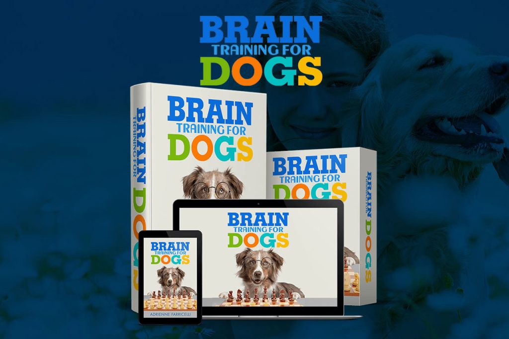 Unlock Your Dogs Potential with Brain Training for Dogs