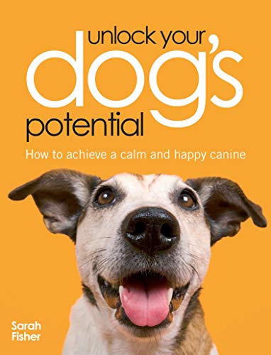 Unlock Your Dogs Potential with Brain Training for Dogs