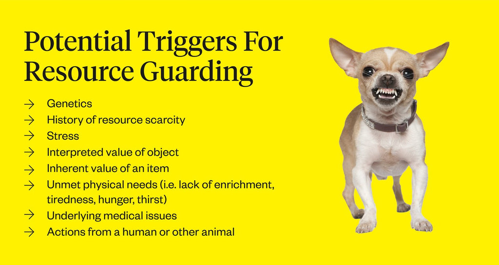 5 Causes Of Sudden Resource Guarding In Dogs?