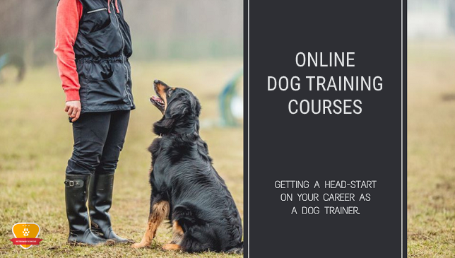 Are There Any Online Courses Available For Dog Behavior Training?