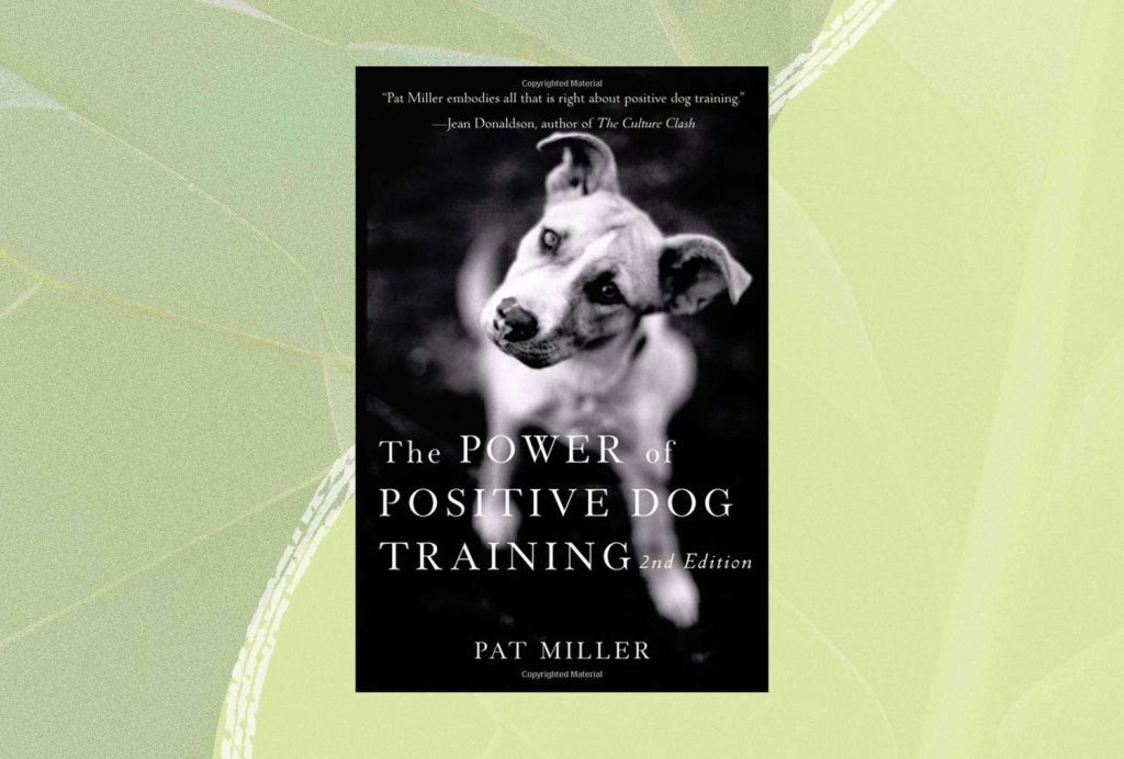 Can You Recommend Any Specific Books That Focus On Analysing And Modifying Dog Behaviour?