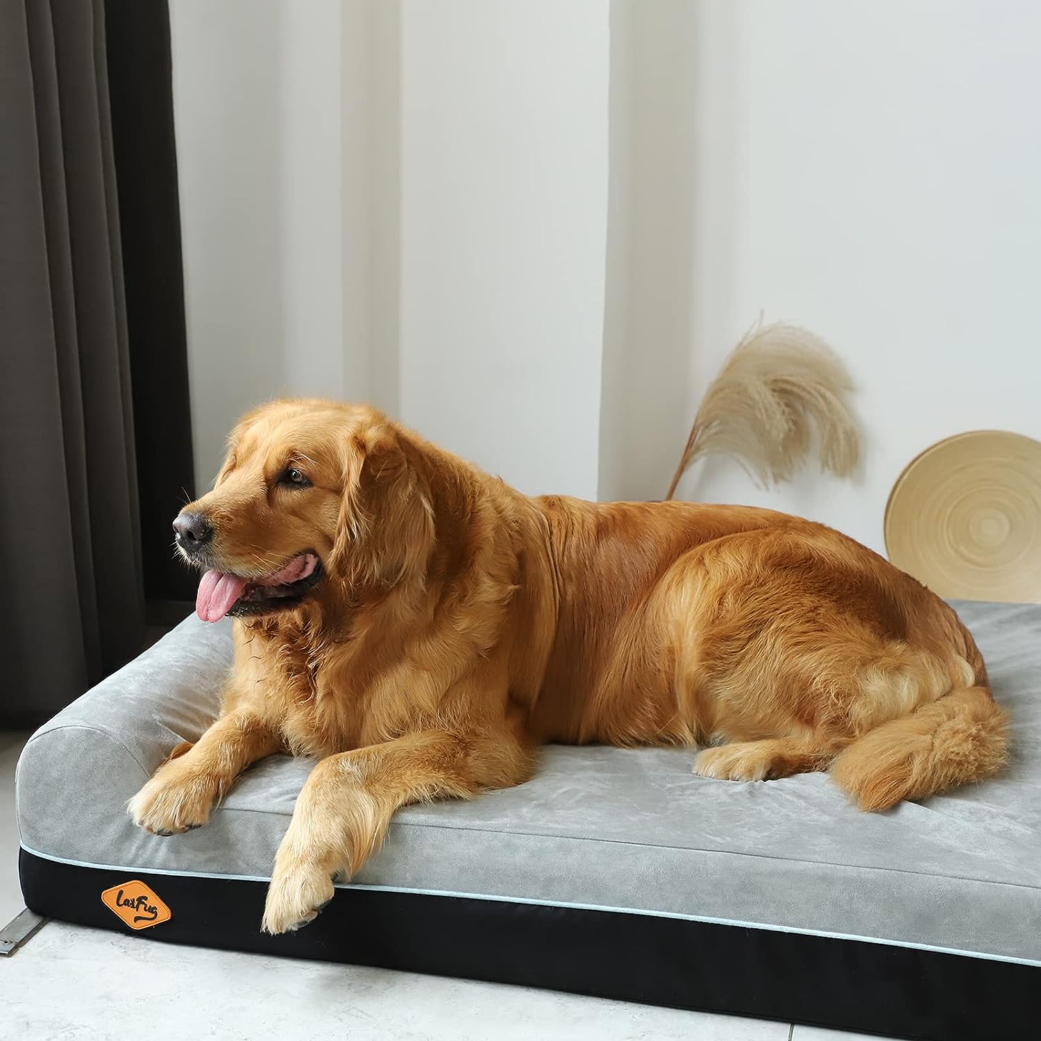 Comparing and Reviewing 5 Dog Bed Products for All Breeds