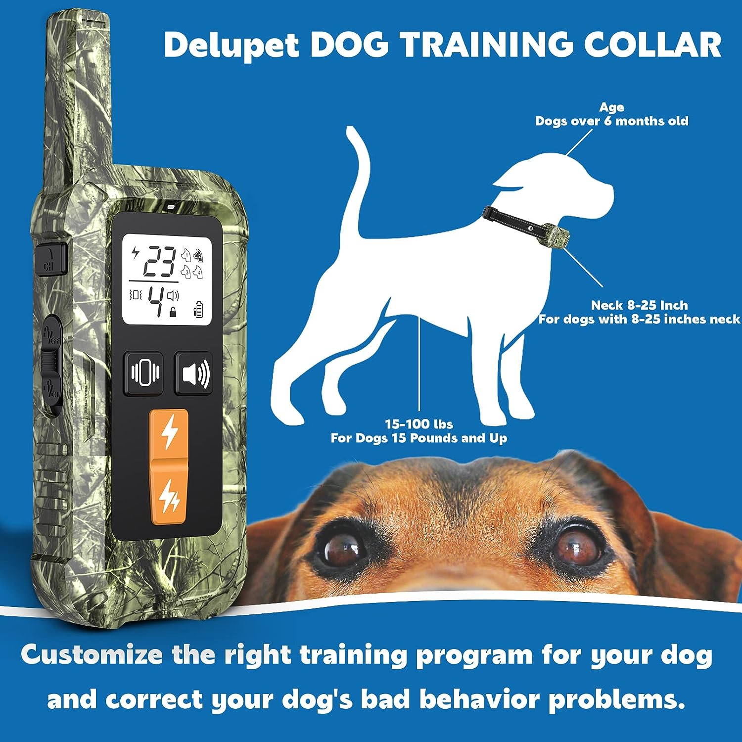 Dog Training Collar Review