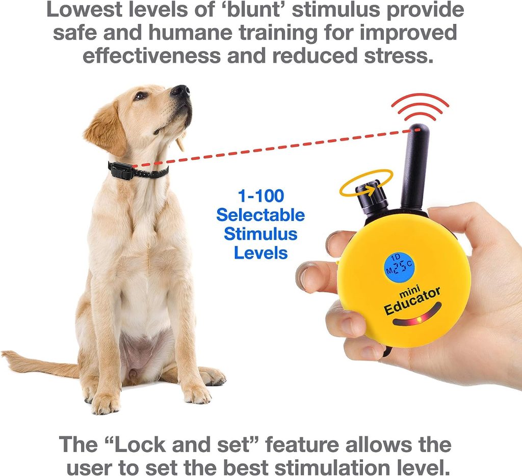 Educator E-Collar Humane Dog Training Collar with Remote, 100 Safe Tapping Stimulation Levels, Waterproof, Rechargeable, 1/2 Mile 1 Small-Medium Dog, Yellow