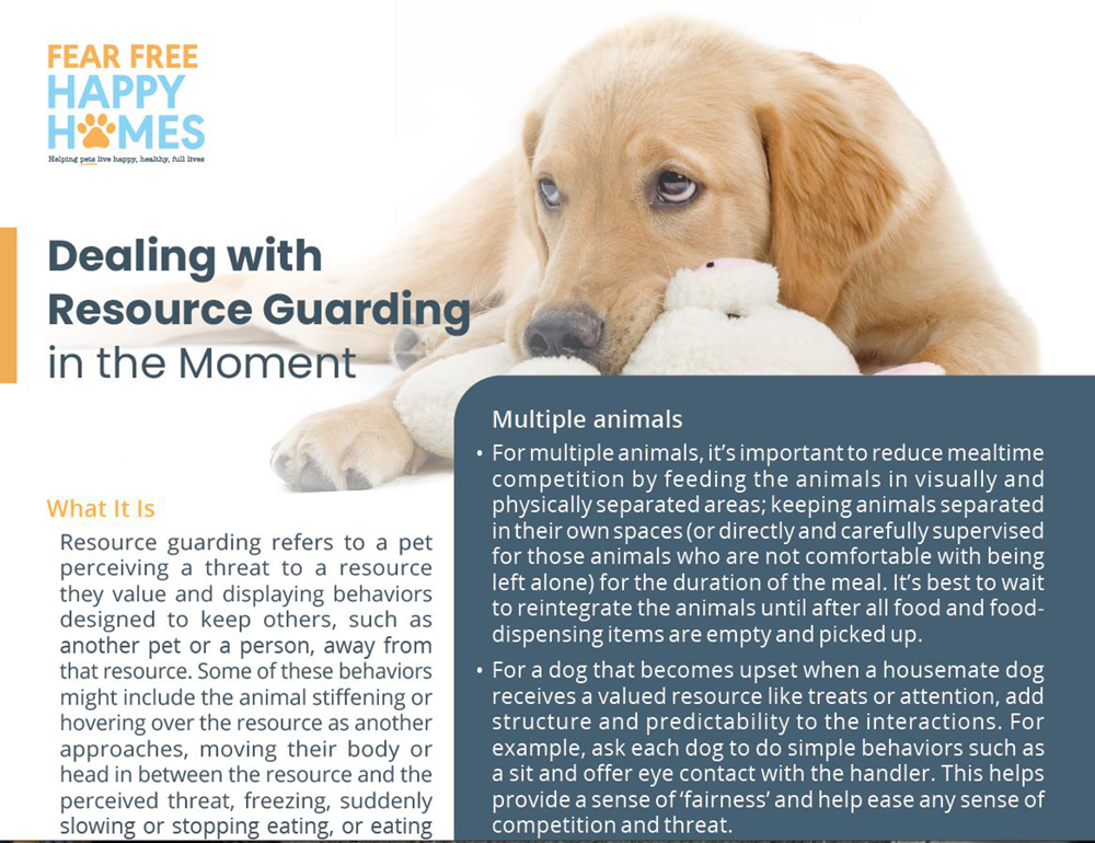 Handling Resource Guarding in Puppies
