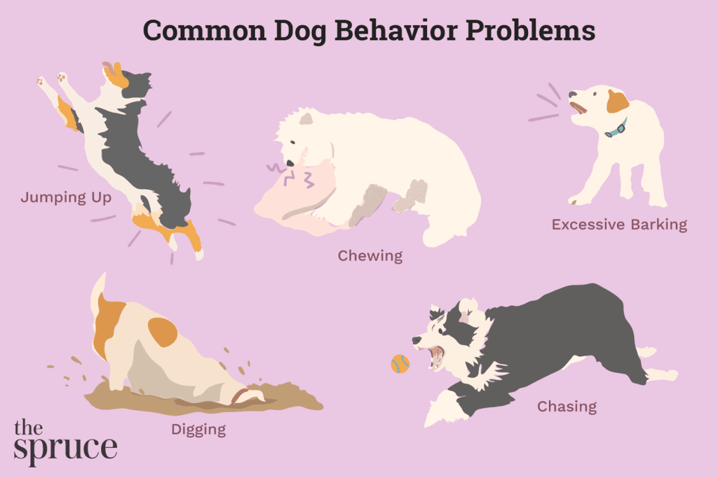 How Can I Address Bad Dog Behavior?