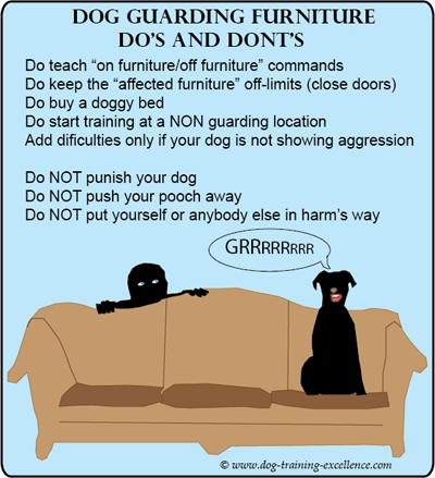 How To Handle Dog Bed Guarding Issues?