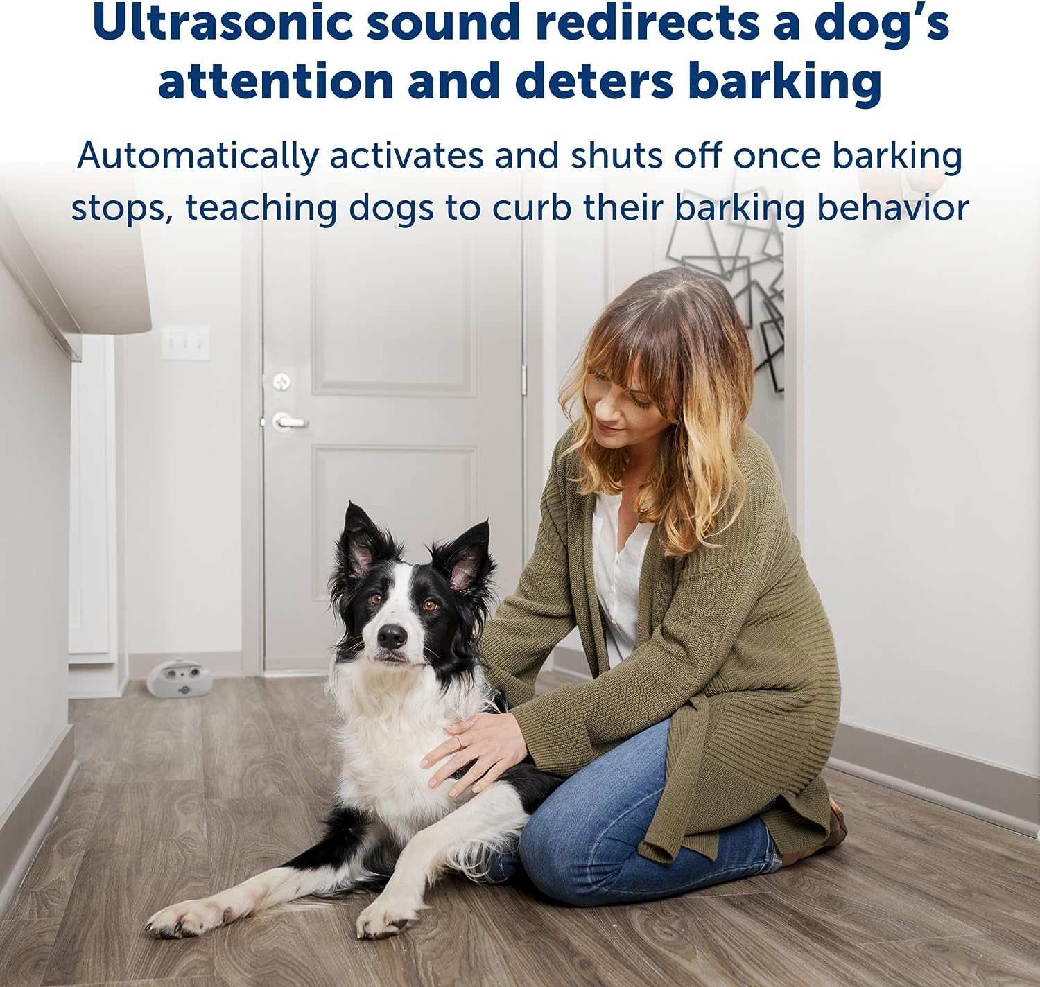 PetSafe Indoor Ultrasonic Dog Bark Control - No Collar Needed - Up to 25 ft Range - Anti-Bark Pet Training System - Automatic with Manual Trainer Button