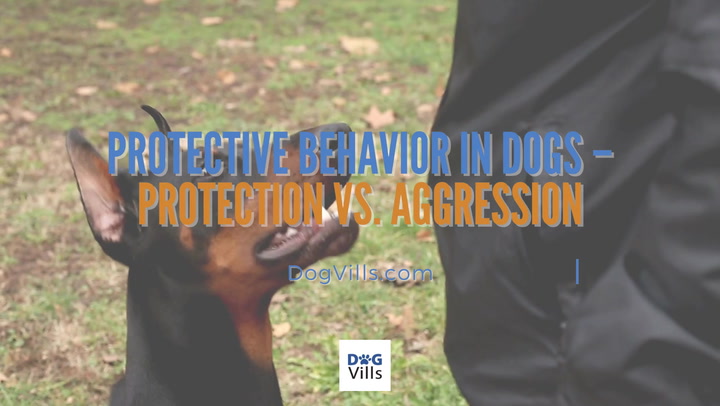 Recognizing Protective Behavior in Dogs