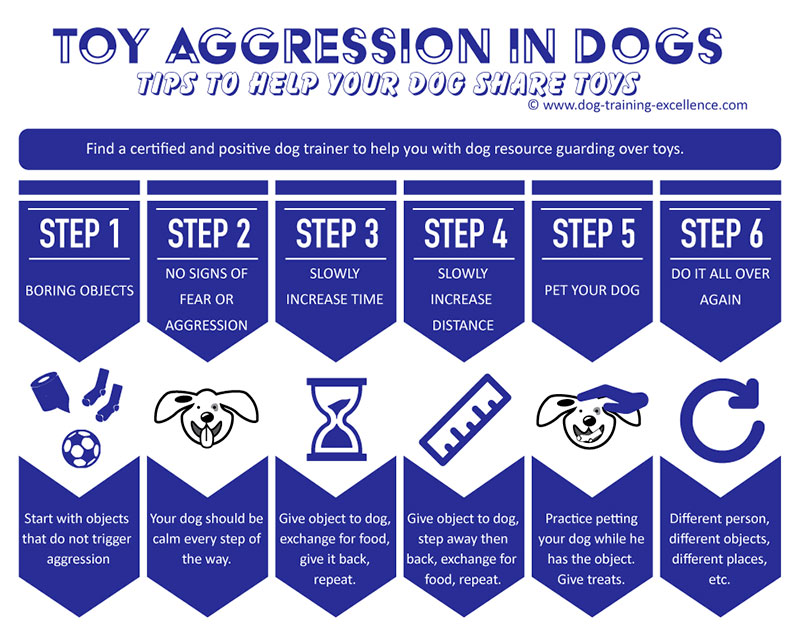 Tips for Managing Toy Aggression in Dogs