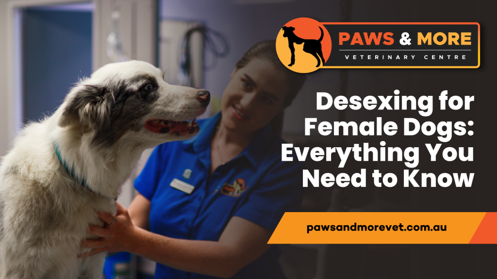 What Are Typical Behavioural Changes In Female Dogs After Being Desexed?