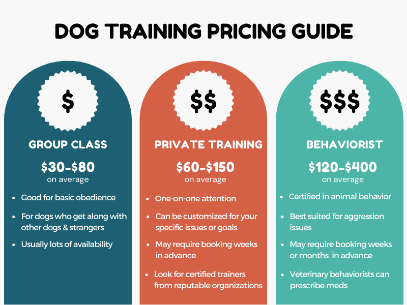 What Is The Average Cost For Dog Obedience Training?