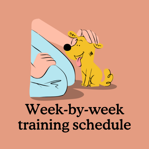 What Is The Typical Duration Or Time Frame For Dog Obedience Training?